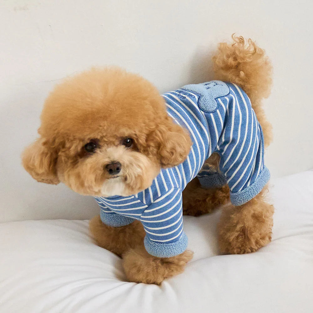 【予約】STRIPE BENNY ALL IN ONE