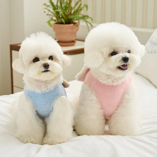 【予約】ツイード リボン ニット