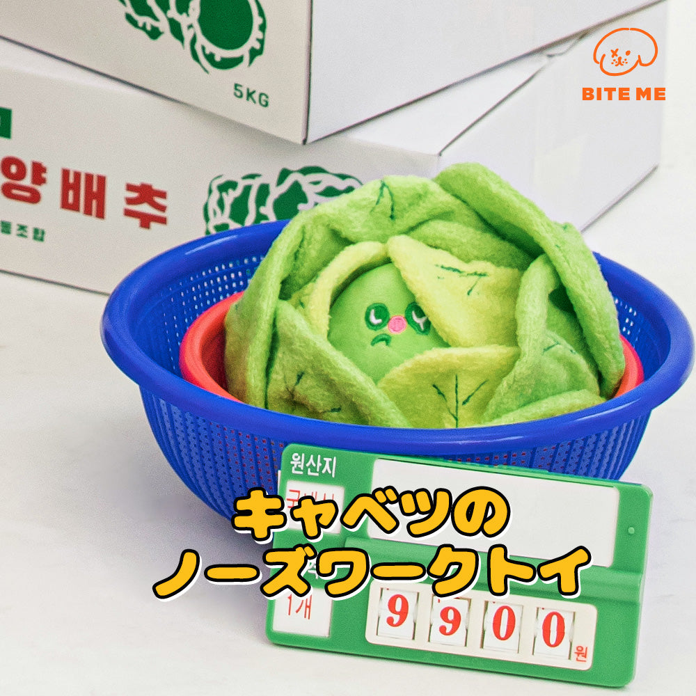 【予約】キャベツくんくんボールおもちゃ