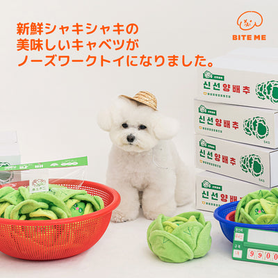 【予約】キャベツくんくんボールおもちゃ