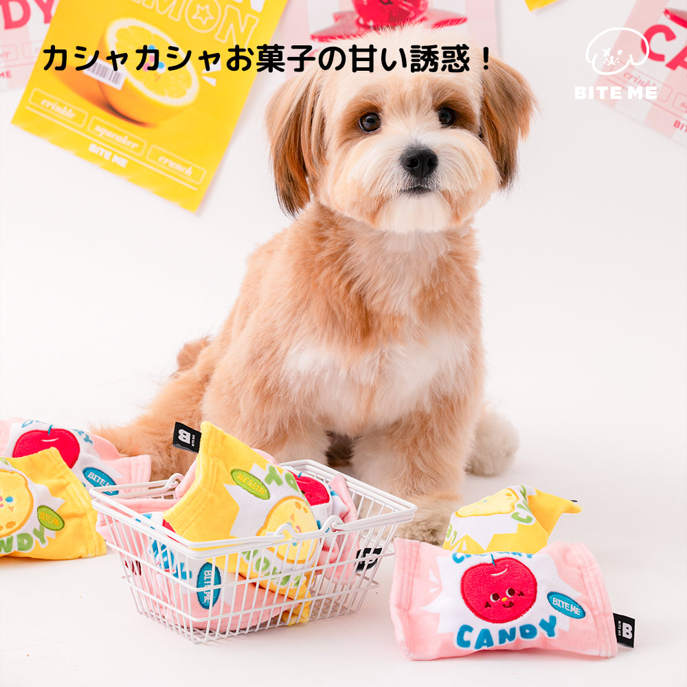 【予約】クランチキャンディボール