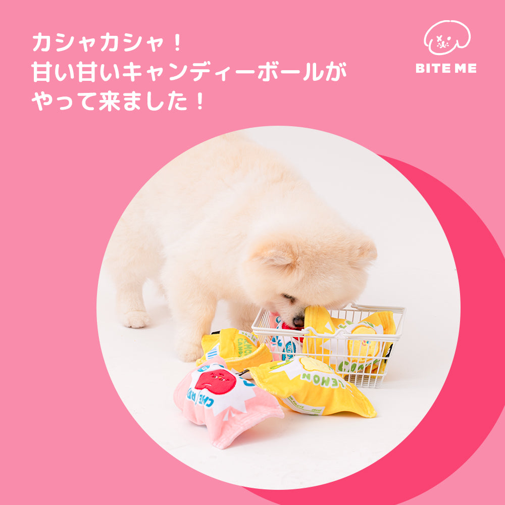 【予約】クランチキャンディボール