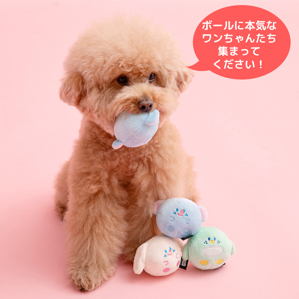 【予約】フロッピーフレンズ マルチパック ボールおもちゃ(3個セット)