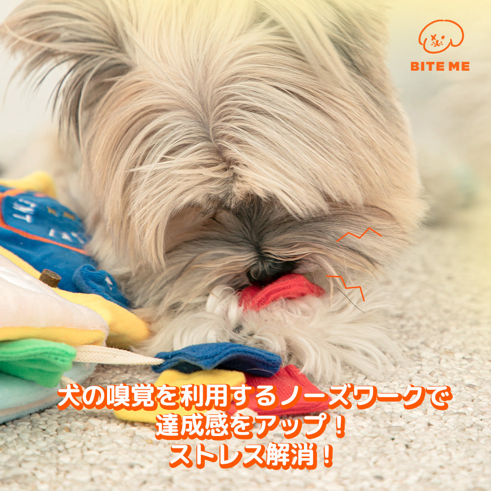 【予約】ノーズワークプレイブック 洗濯の日