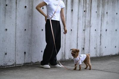 【予約】OBI hans free pink(ハンズフリーリード)