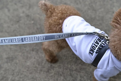 【予約】OBI hans logo