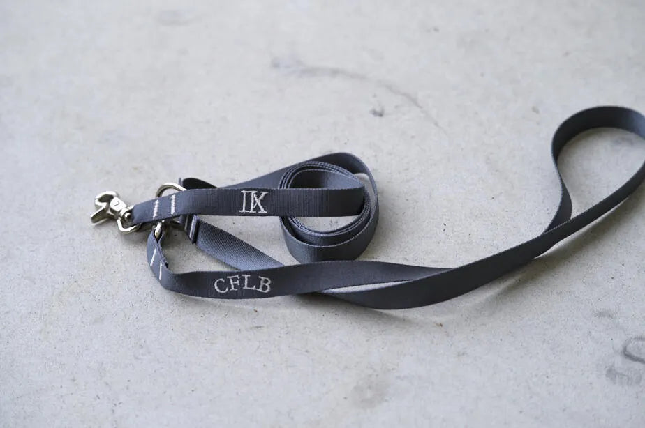 【予約】OBI hans free charcoal(ハンズフリーリード)