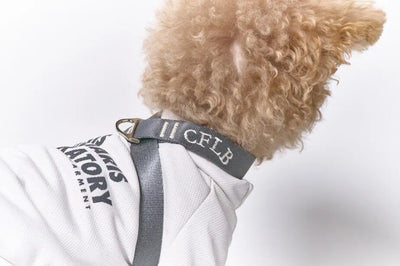 【予約】TASUKI harness charcoal