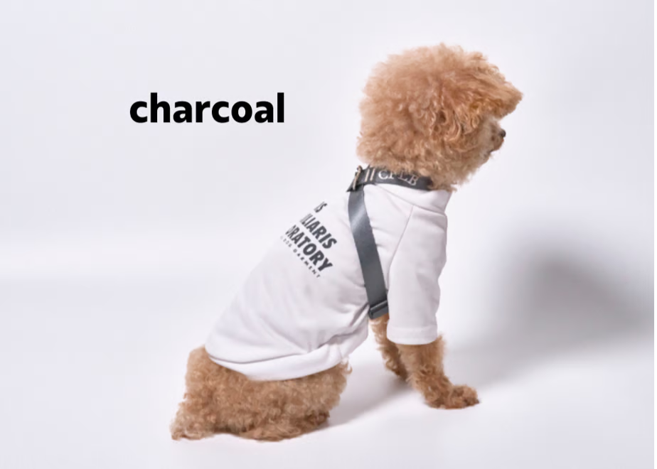 【予約】TASUKI harness charcoal