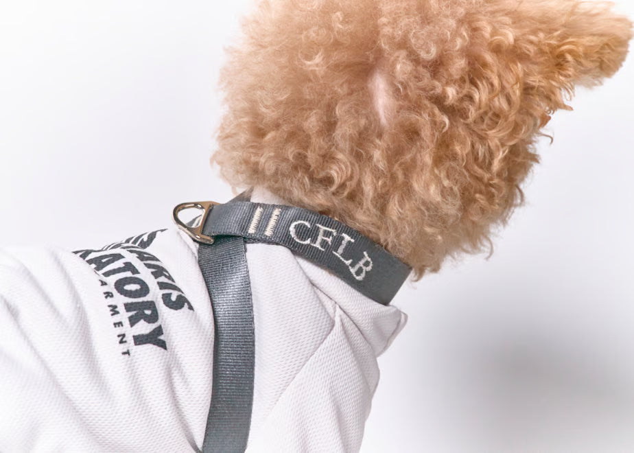 【予約】TASUKI harness charcoal