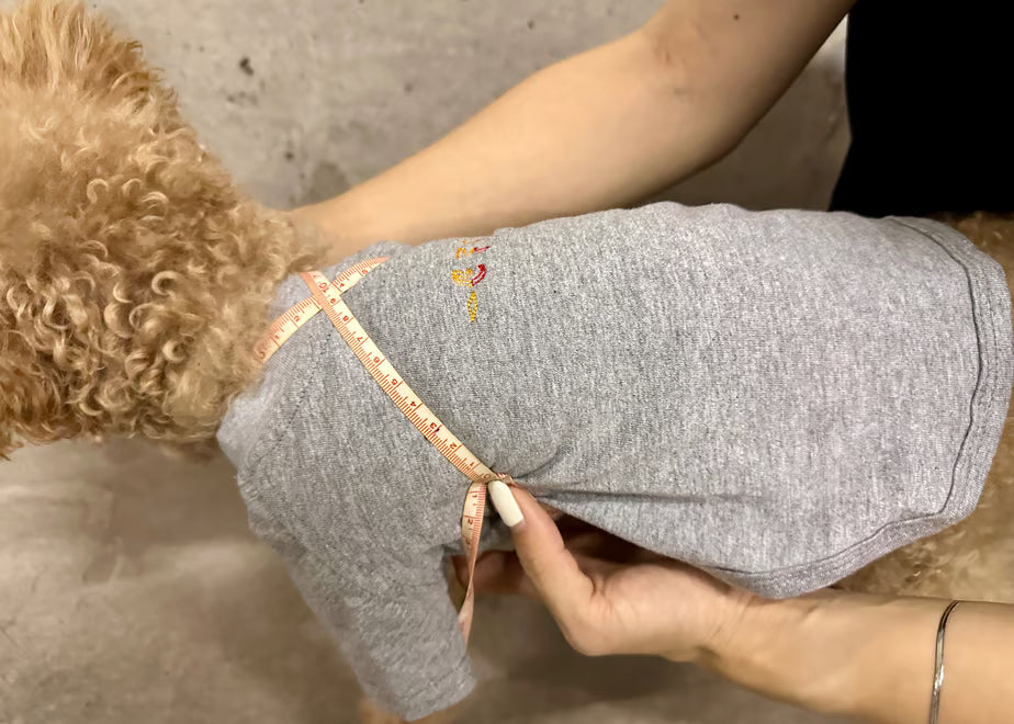 【予約】TASUKI harness charcoal