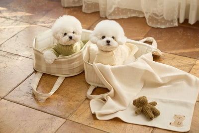 【予約】コージー ラウンド ショルダー バッグ