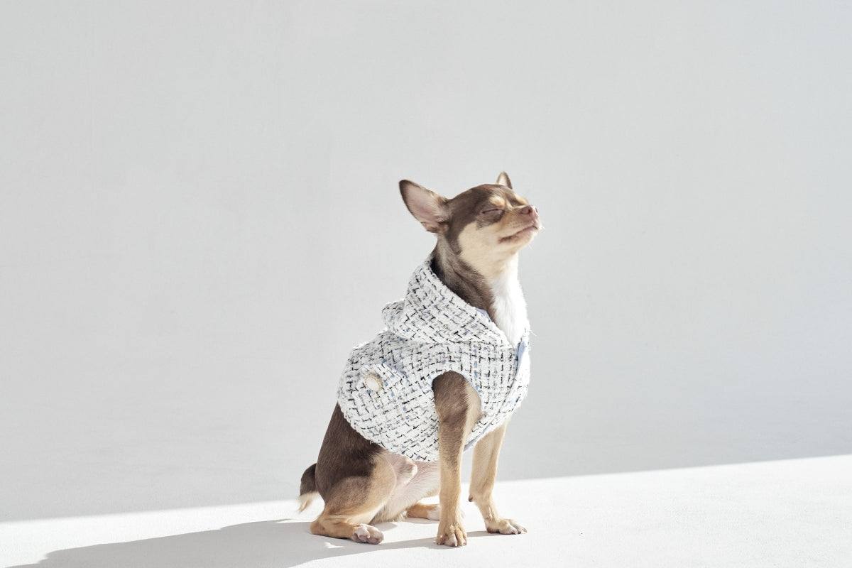 【予約】001 Edition - Tweed Hood Vest