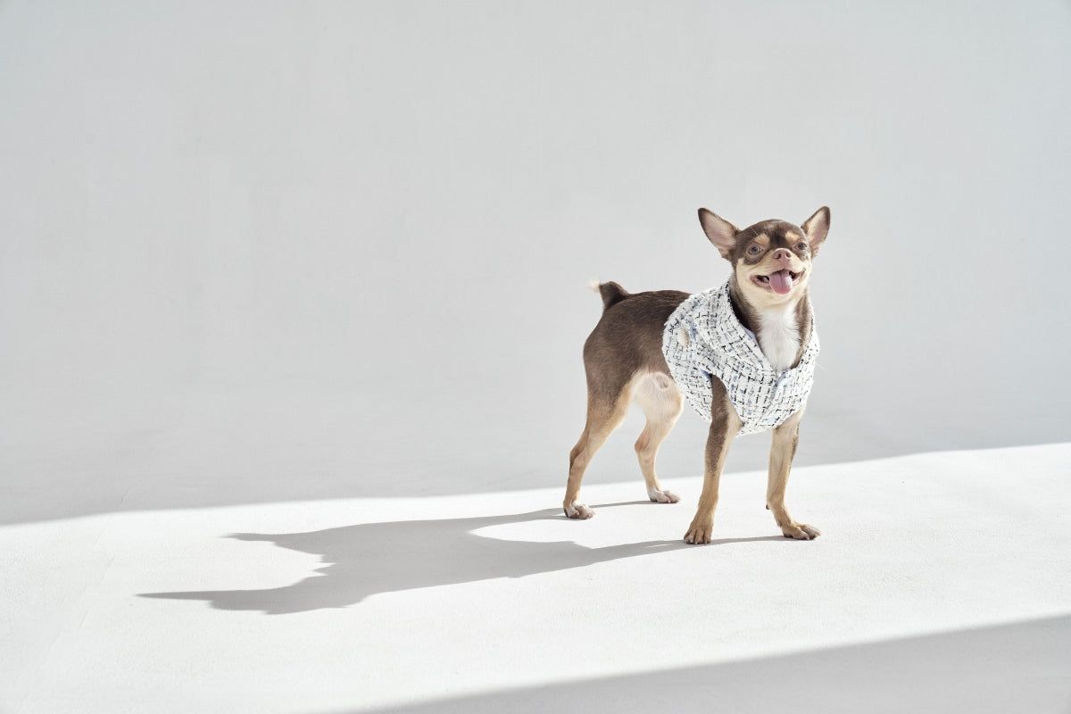 【予約】001 Edition - Tweed Hood Vest