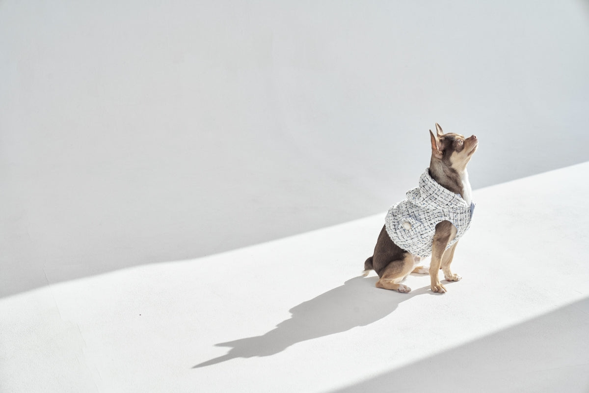 【予約】001 Edition - Tweed Hood Vest