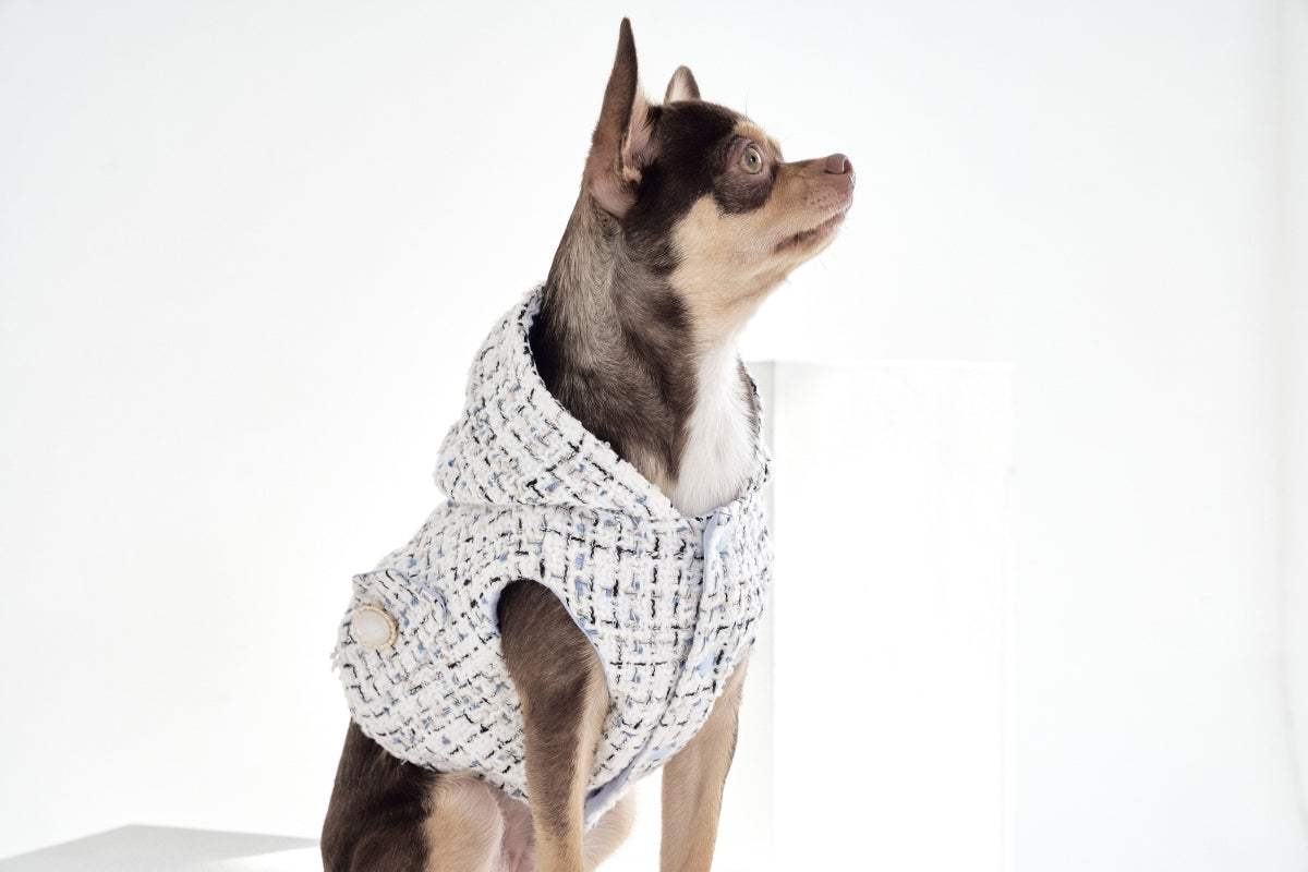 【予約】001 Edition - Tweed Hood Vest