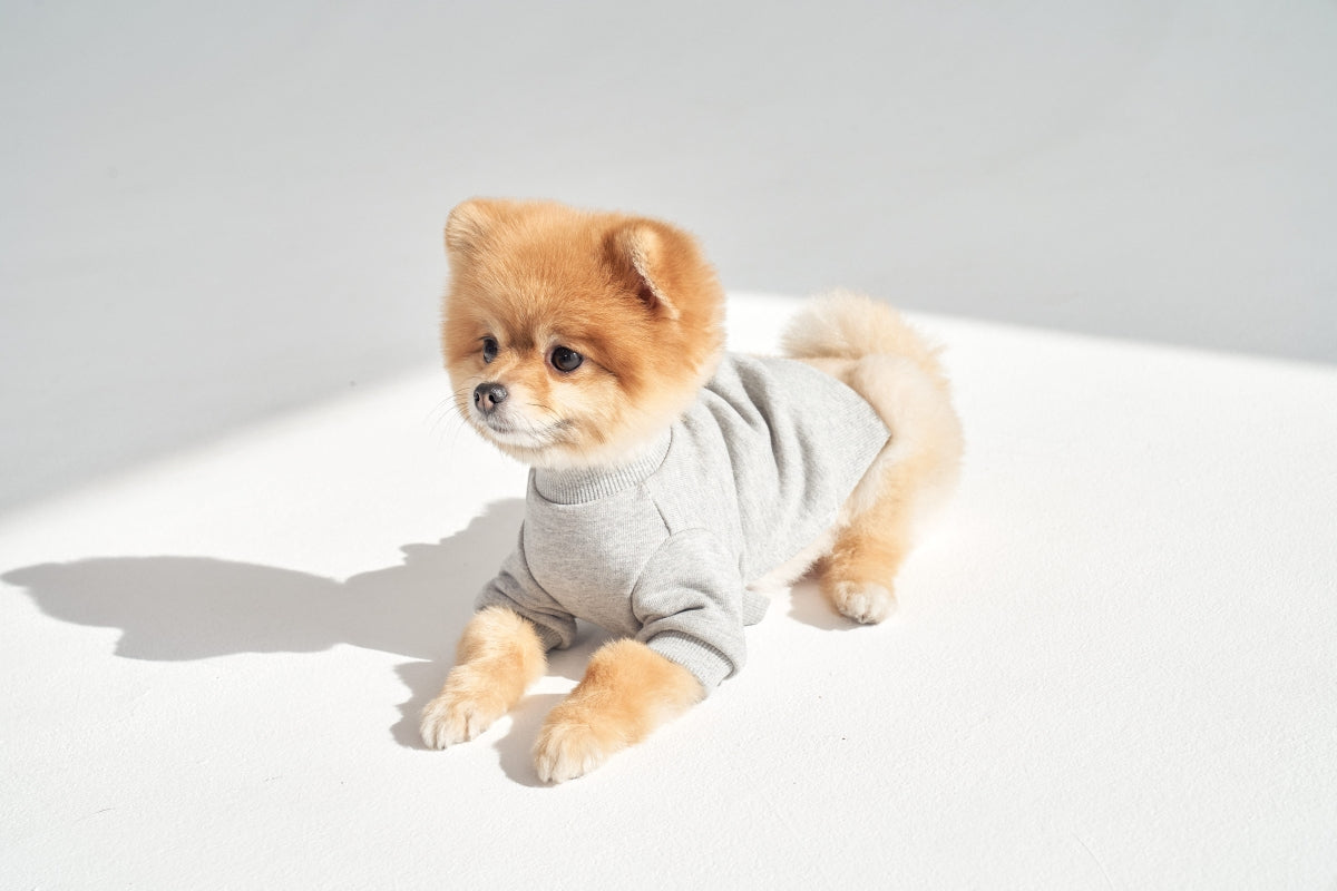 【予約】Semi Crop Sweat Shirt
