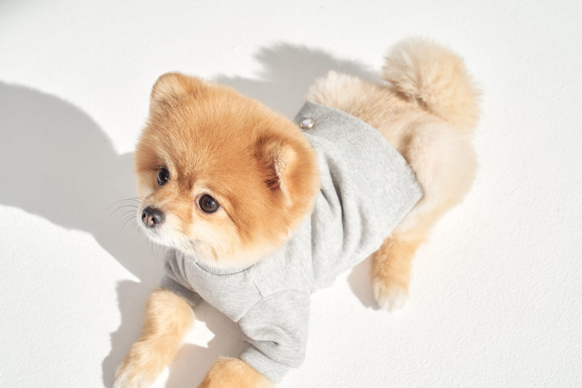 【予約】Semi Crop Sweat Shirt