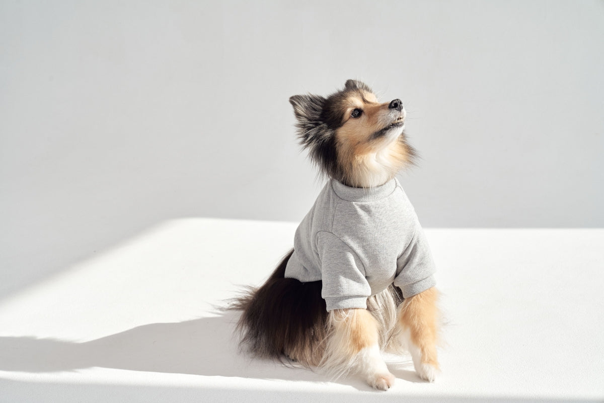 【予約】Semi Crop Sweat Shirt