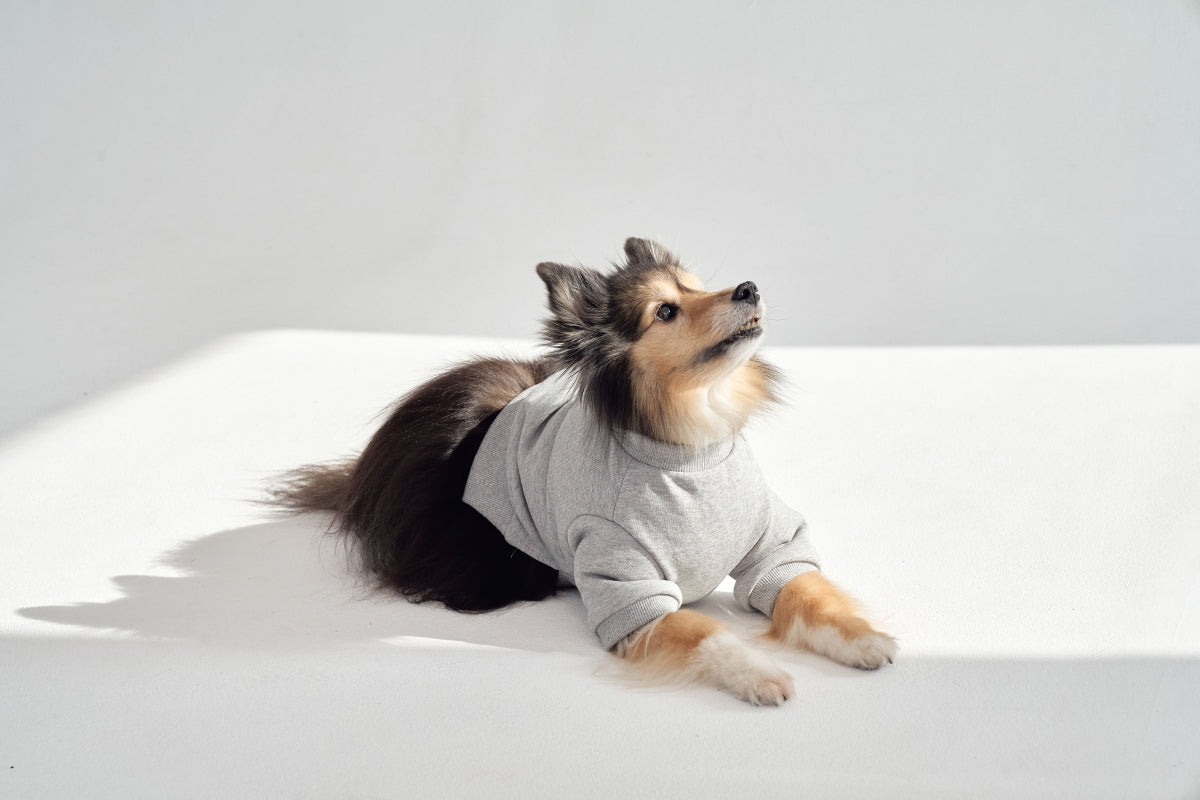 【予約】Semi Crop Sweat Shirt