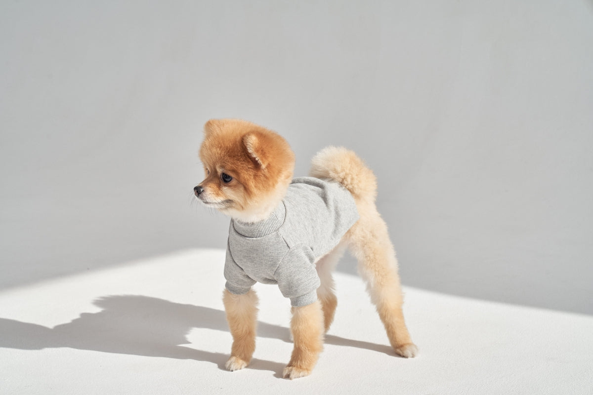 【予約】Semi Crop Sweat Shirt