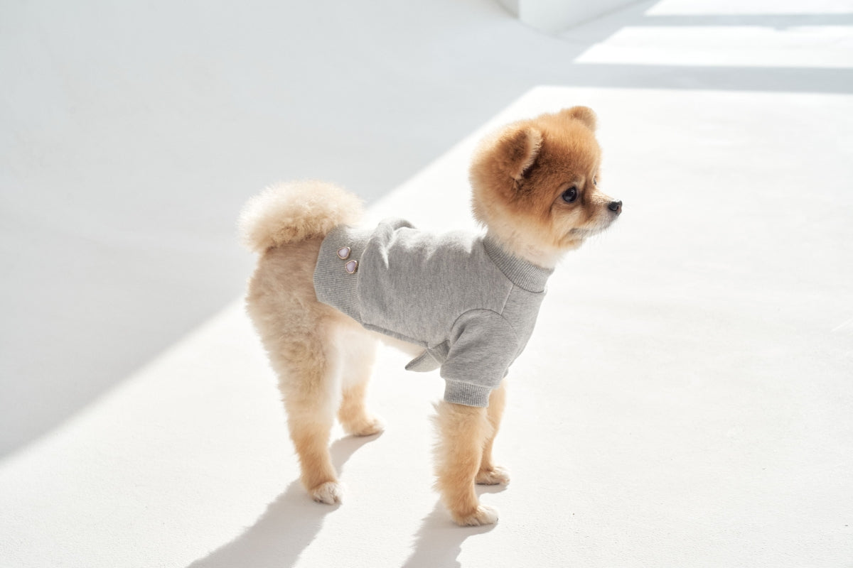 【予約】Semi Crop Sweat Shirt