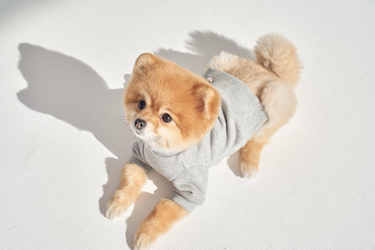 【予約】Semi Crop Sweat Shirt