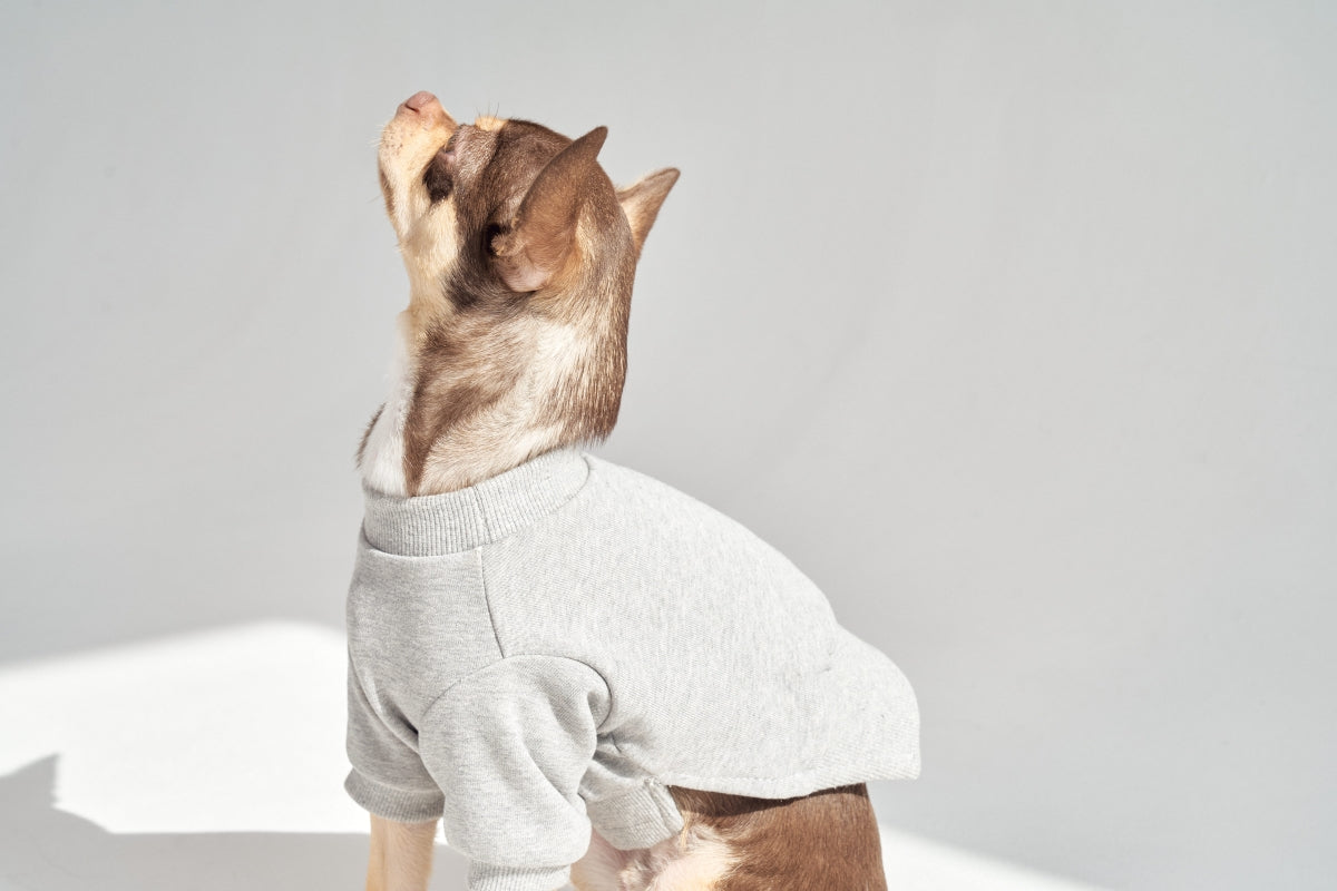 【予約】Semi Crop Sweat Shirt