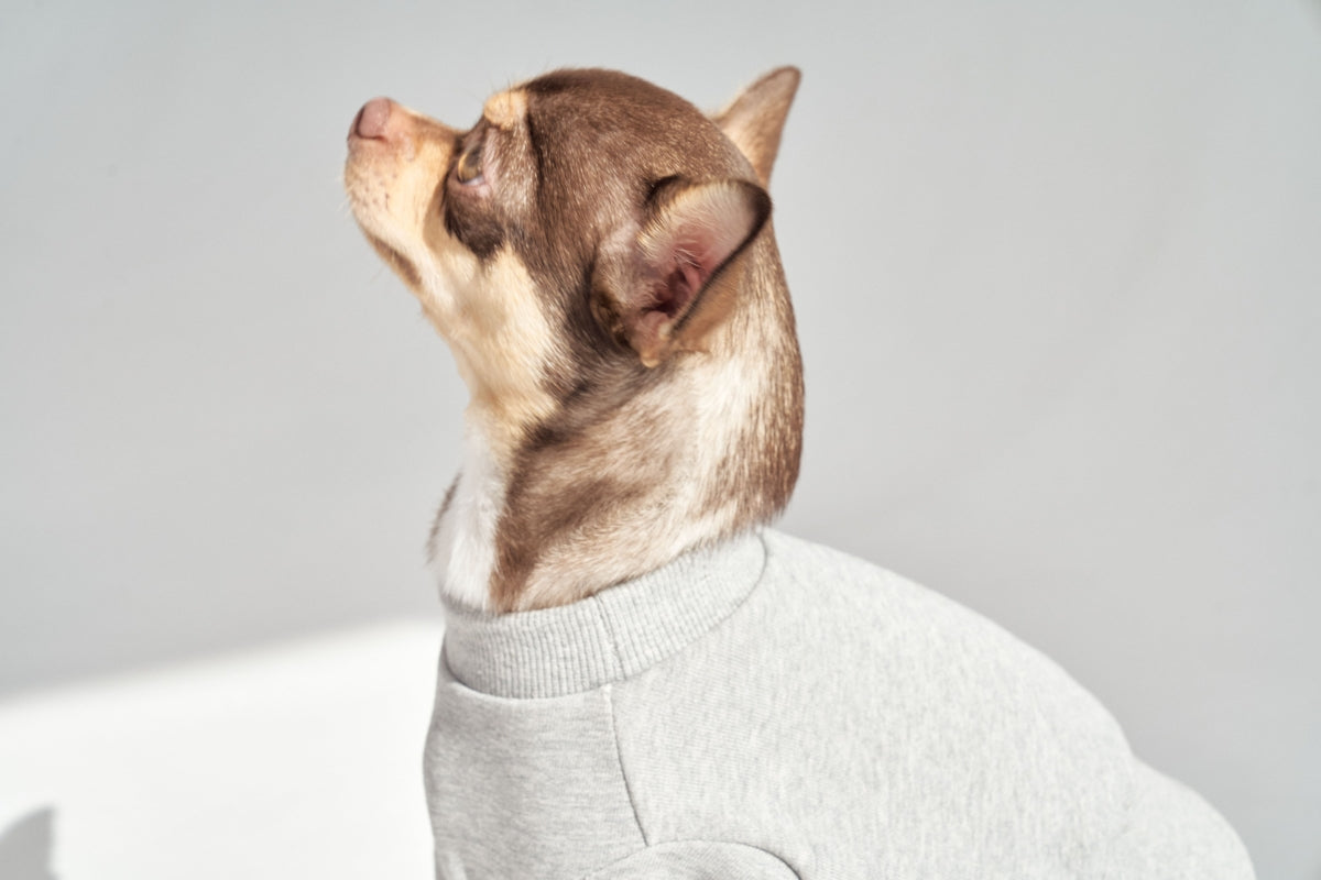 【予約】Semi Crop Sweat Shirt