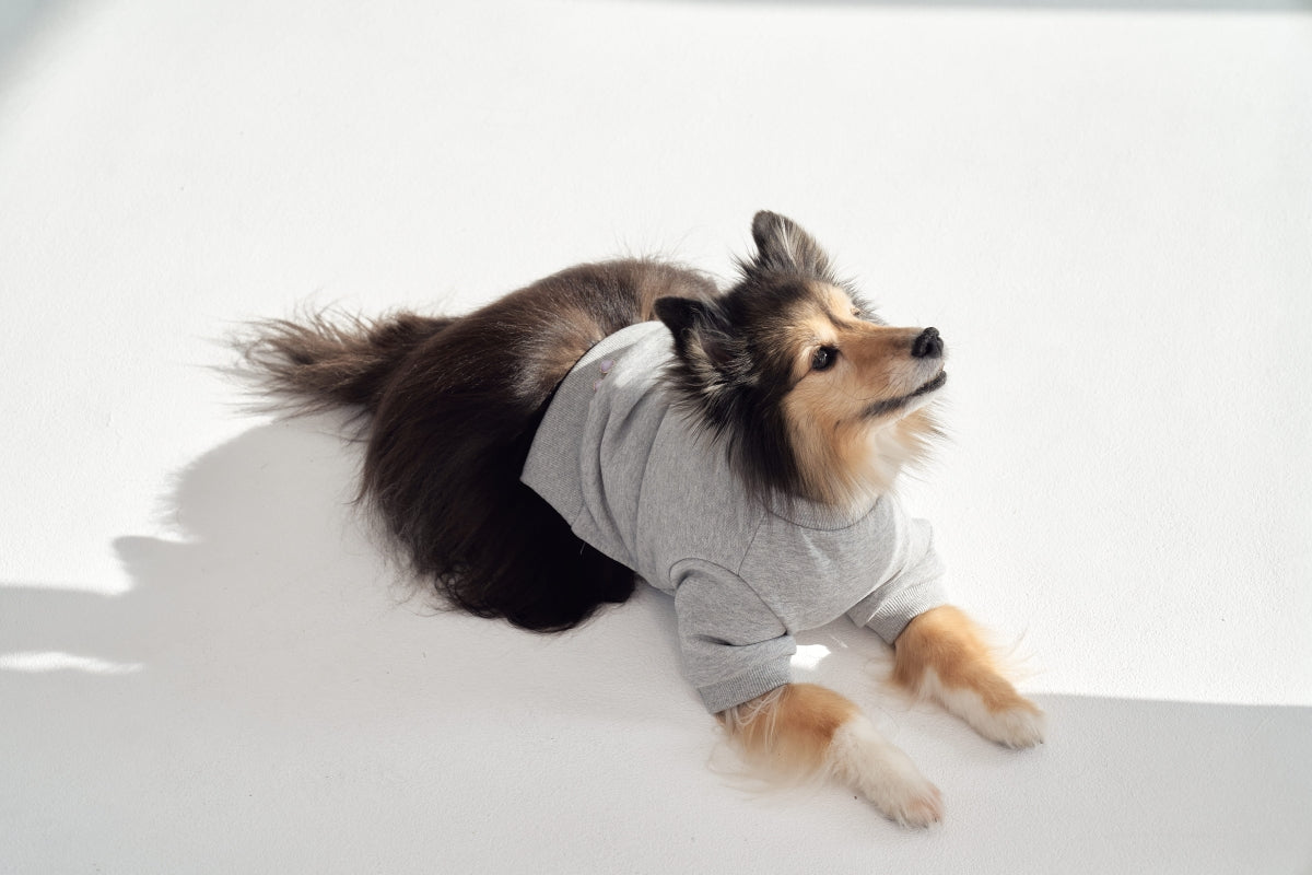 【予約】Semi Crop Sweat Shirt