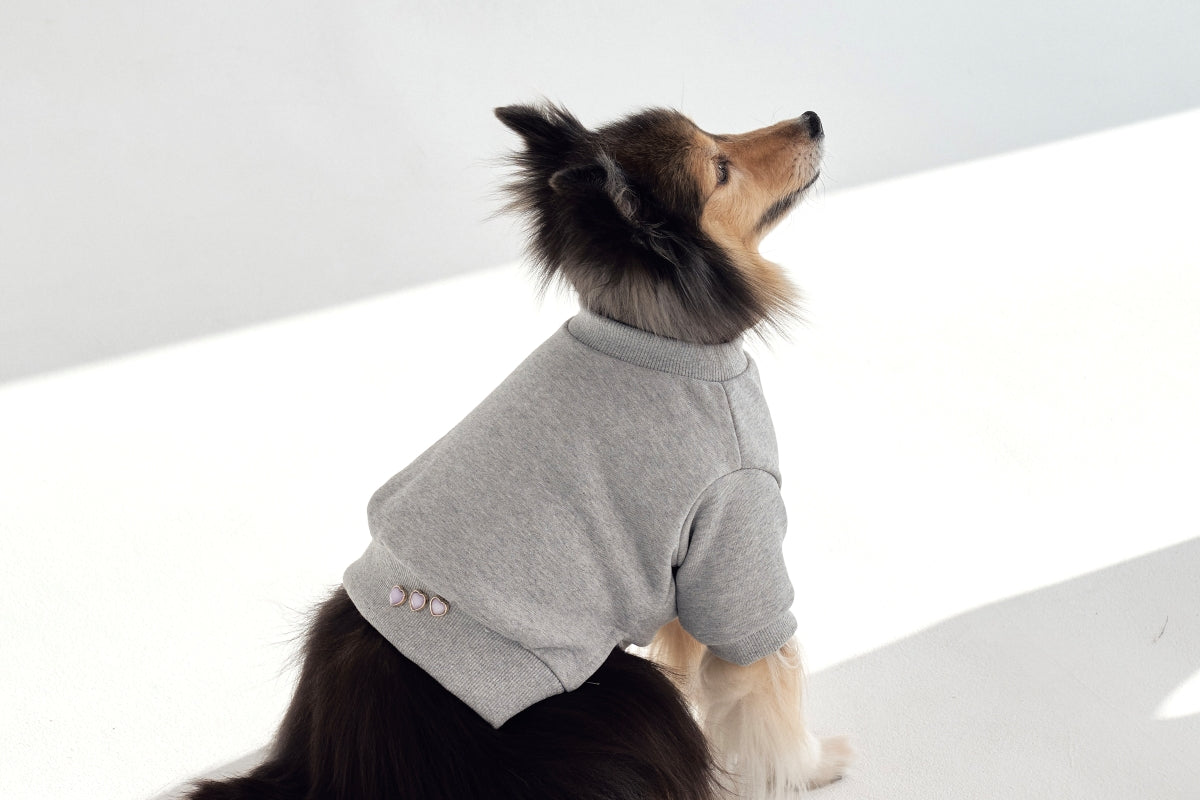 【予約】Semi Crop Sweat Shirt