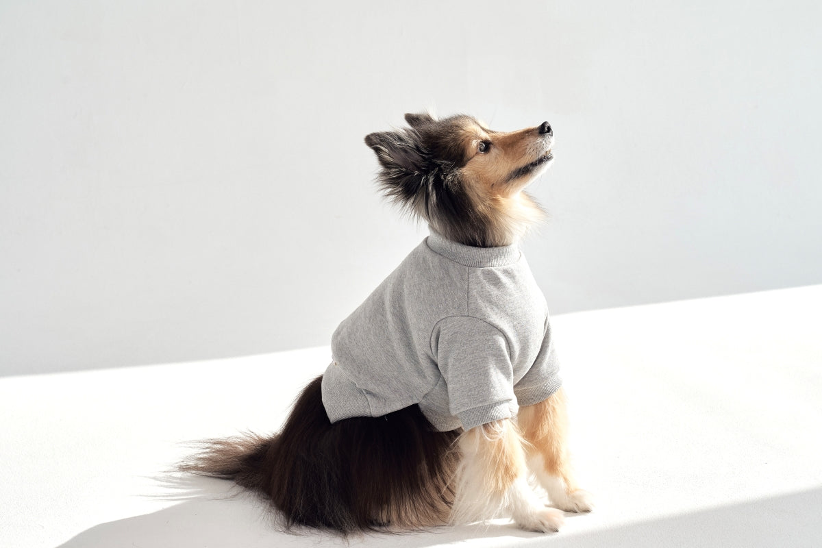 【予約】Semi Crop Sweat Shirt