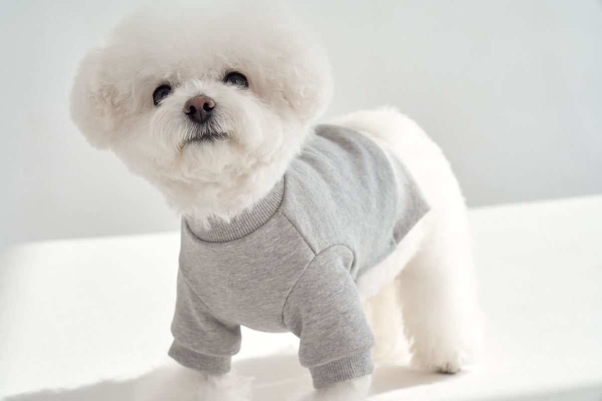 【予約】Semi Crop Sweat Shirt