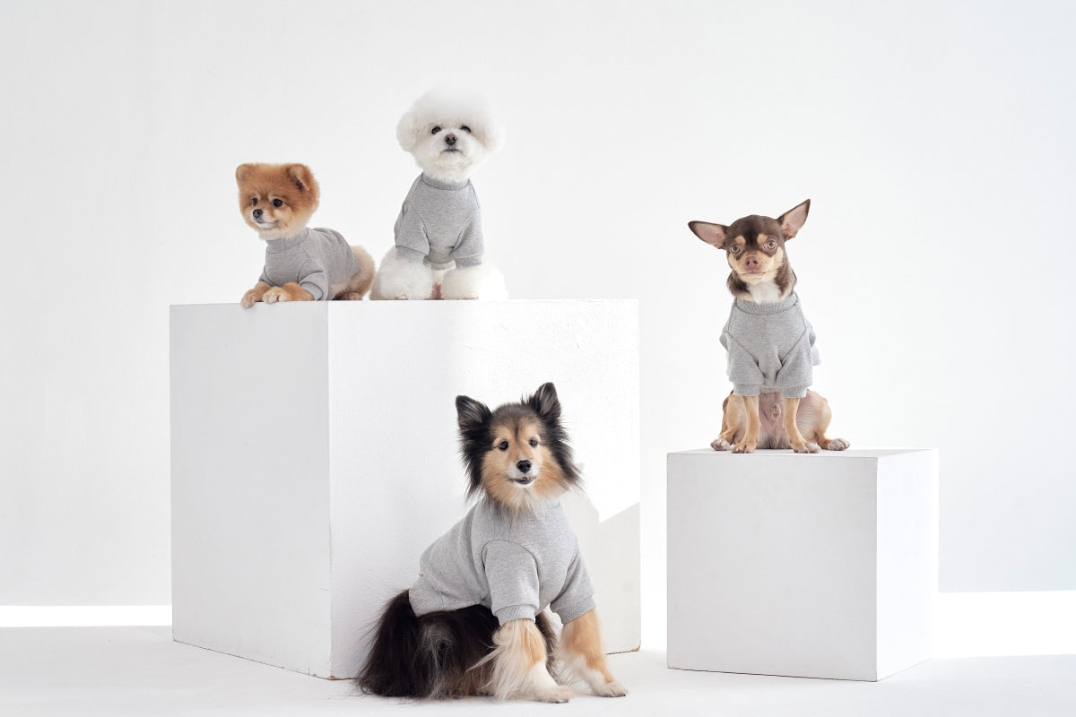 【予約】Semi Crop Sweat Shirt