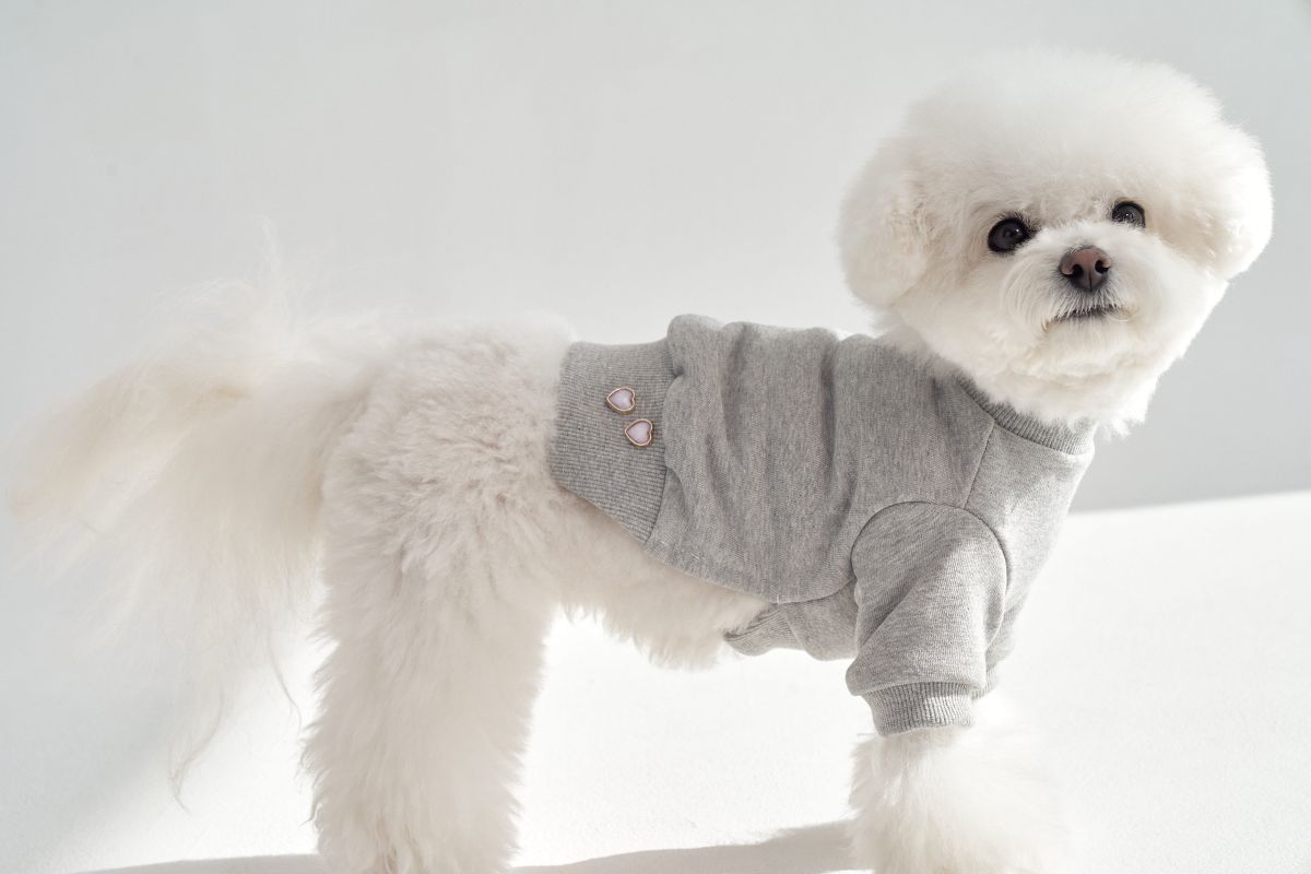 【予約】Semi Crop Sweat Shirt