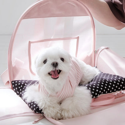 【予約】Airy Soft Backpack (2color)|犬用キャリーバッグ