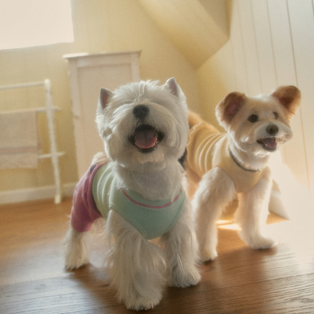 【予約】デイリー ワッフル Tシャツ