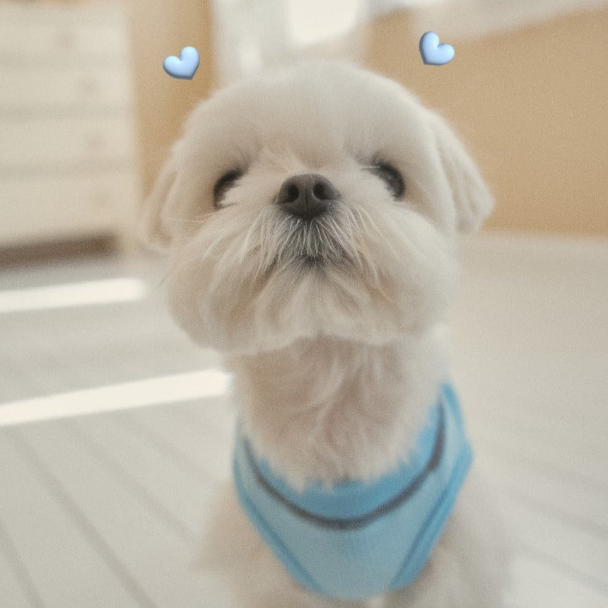 【予約】デイリー ワッフル Tシャツ