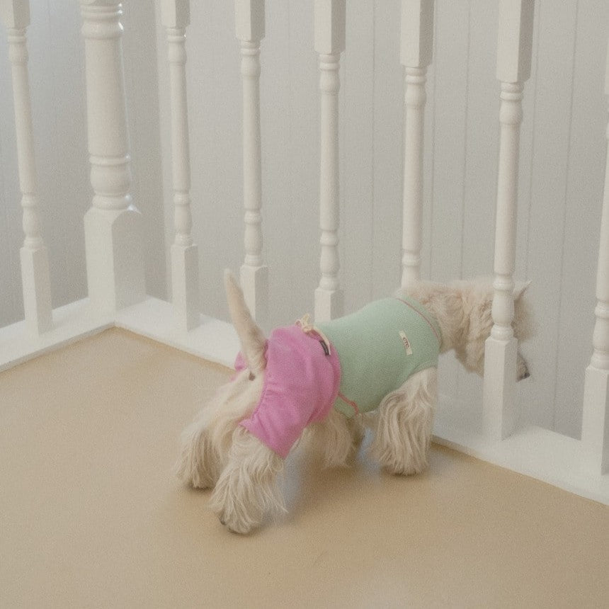 【予約】デイリー ワッフル Tシャツ