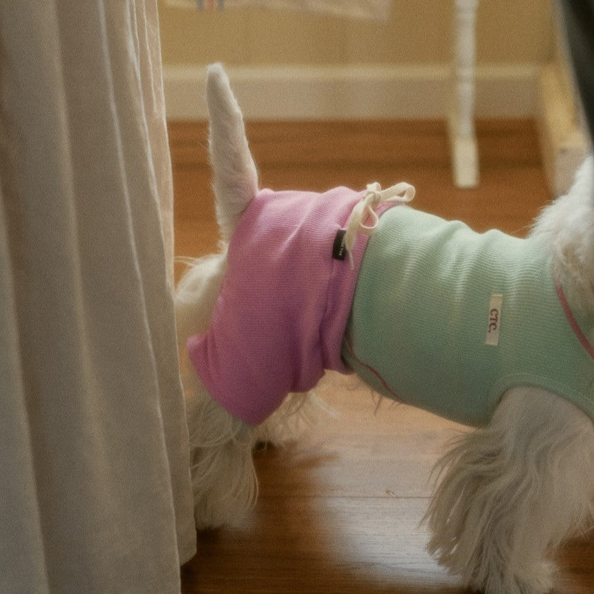 【予約】デイリー ワッフル Tシャツ