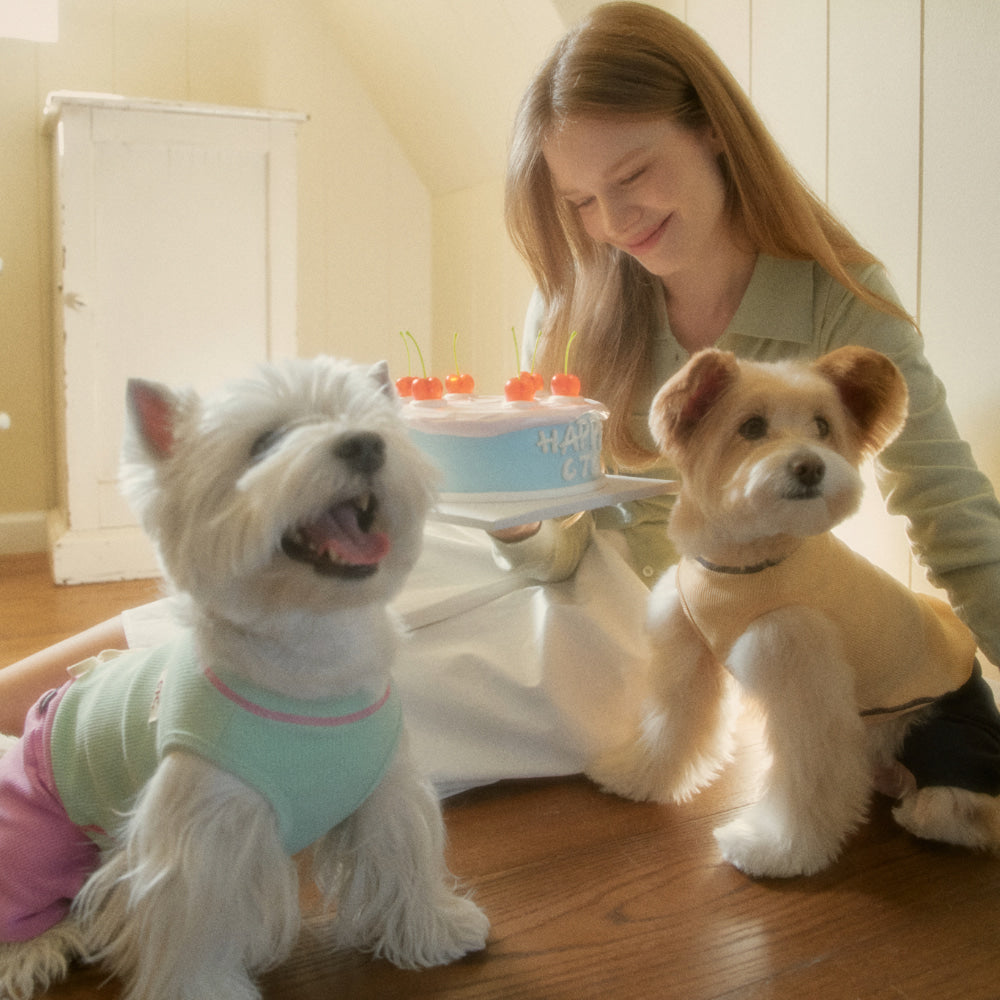 【予約】デイリー ワッフル Tシャツ