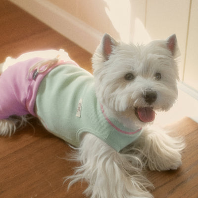 【予約】デイリー ワッフル Tシャツ