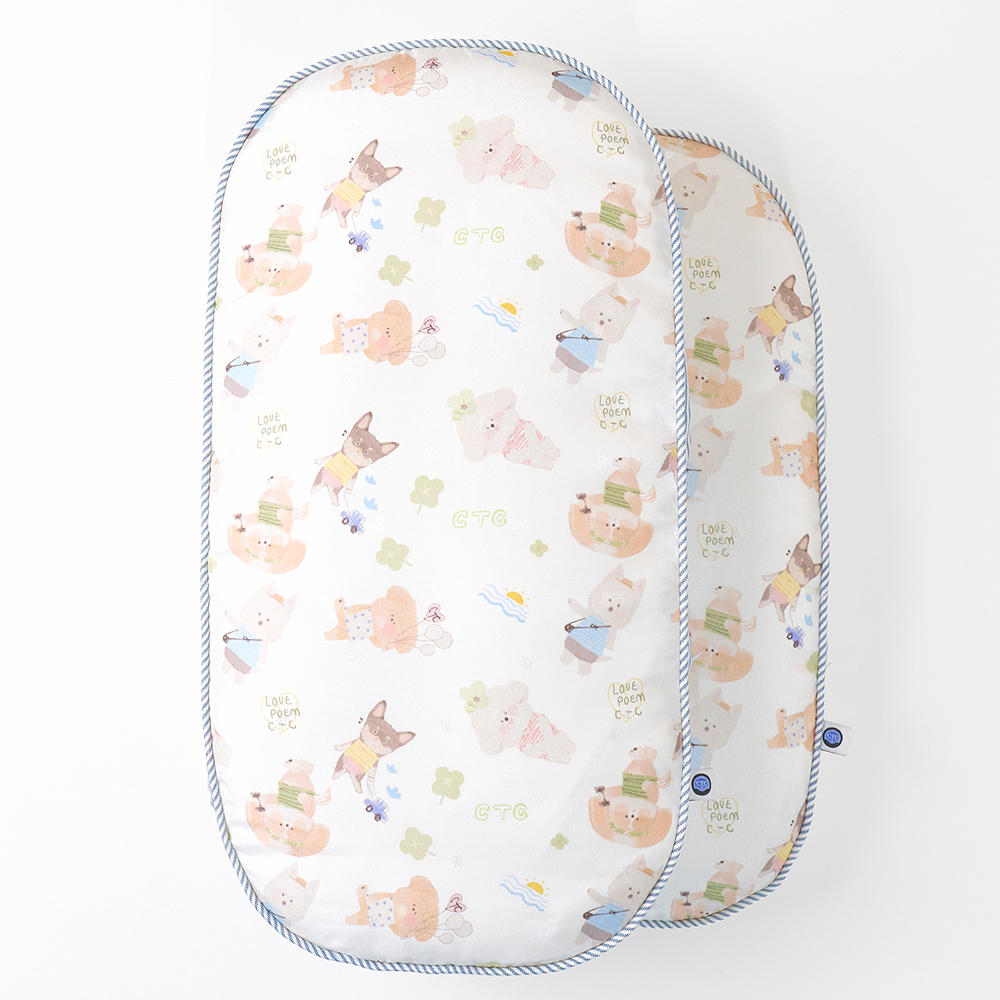【予約】Ice Rayon Cool cushion