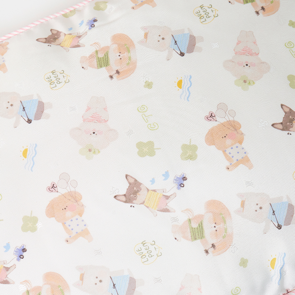 【予約】Ice Rayon Cool cushion
