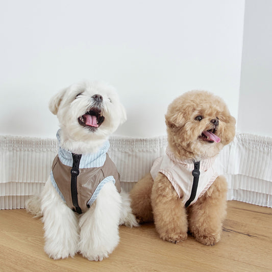 【予約】Striped Hooded Windbreaker (3color)