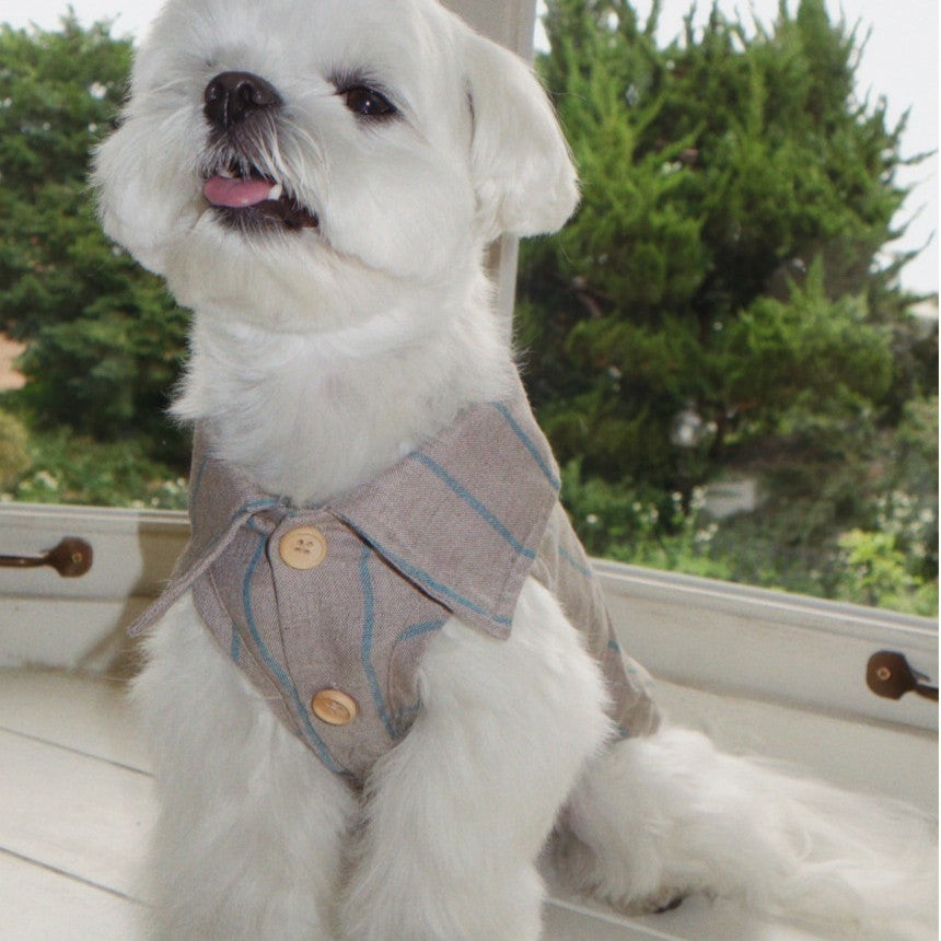 【予約】Summer Essential Linen Shirts(サマーブラウン)