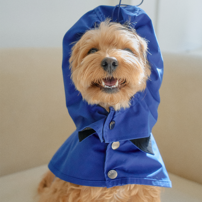 【予約】Tailoring Waterproof Raincoat