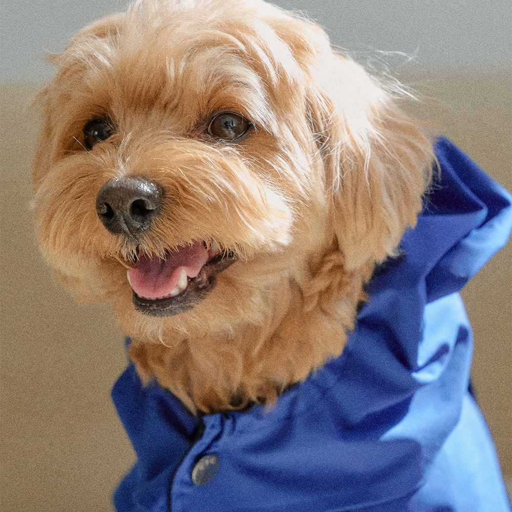 【予約】Tailoring Waterproof Raincoat