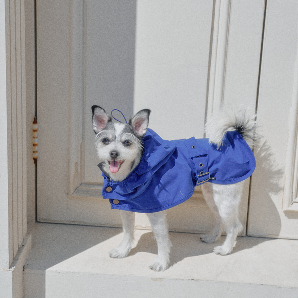 【予約】Tailoring Waterproof Raincoat