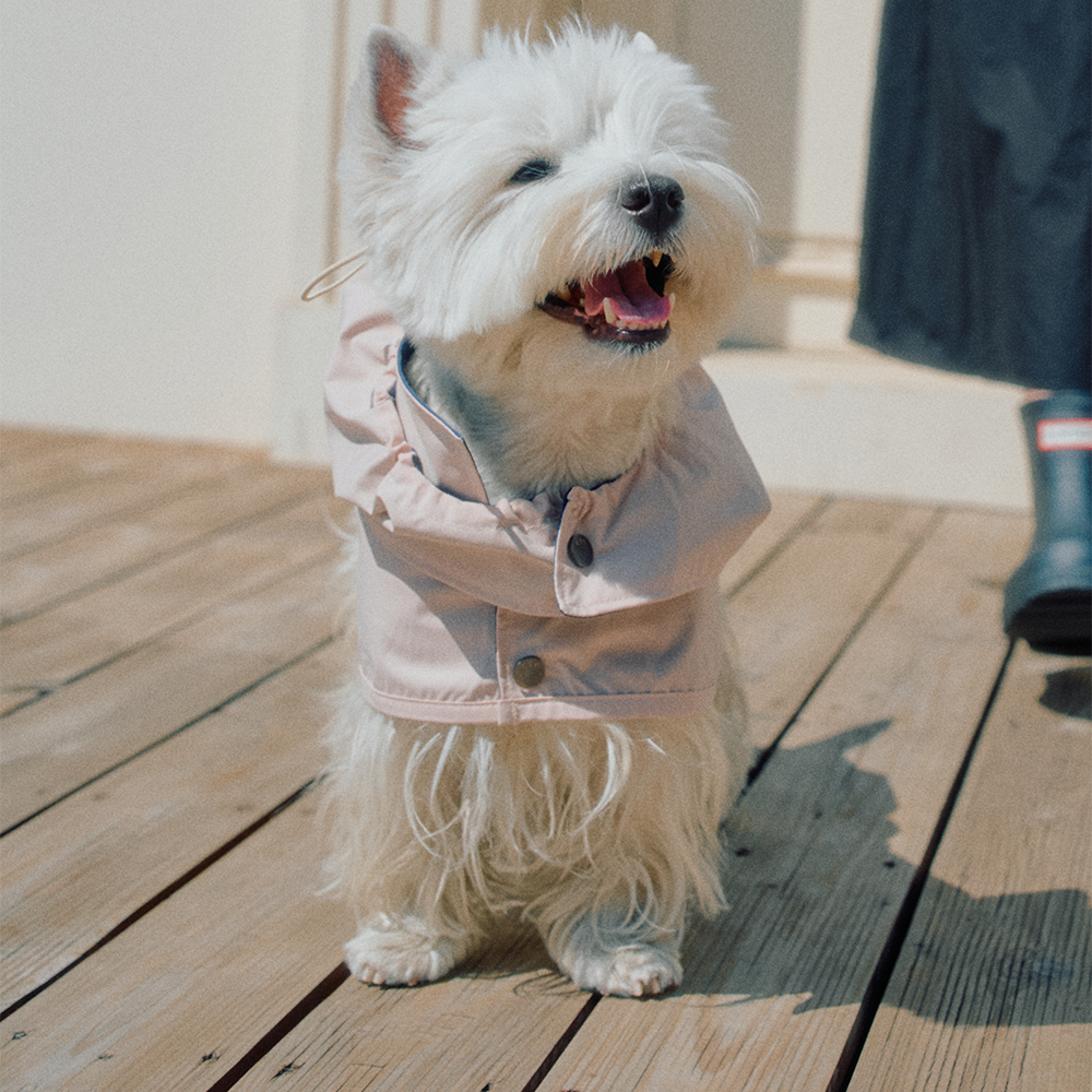 【予約】Tailoring Waterproof Raincoat